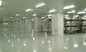 ����������ʲô��Ӧ������Щ��ҵ